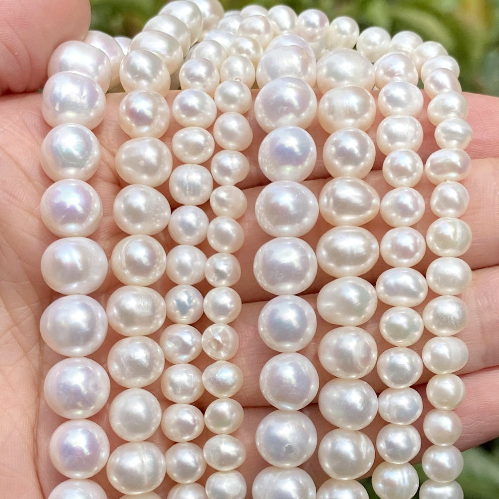 |14:29#Near Circle pearl;200000061:100006142#5-6mm|14:29#Near Circle pearl;200000061:2641#6-7mm|14:29#Near Circle pearl;200000061:1069#7-8mm|14:29#Near Circle pearl;200000061:200004086#8-9mm|14:29#Near Circle pearl;200000061:2642#9-10mm